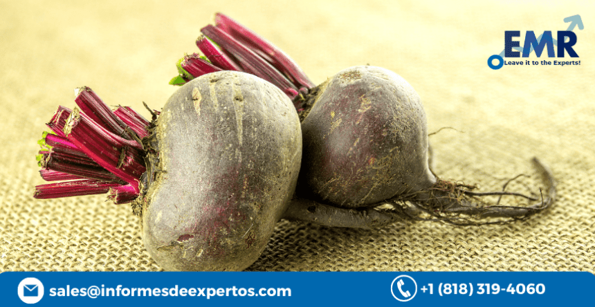 Latin America Betaine Market