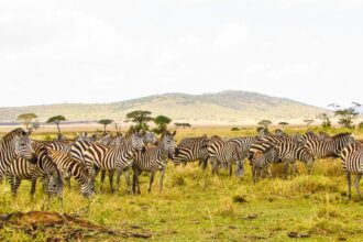 Top 10 Places to Visit in the World